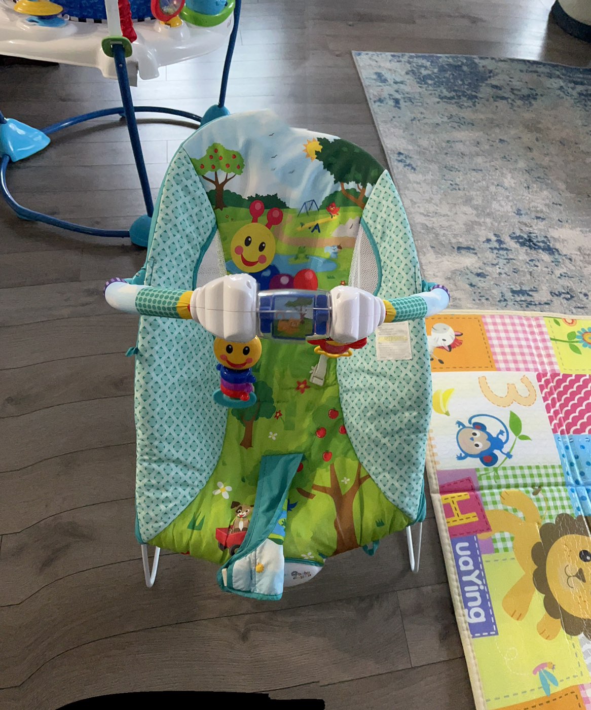 Baby Einstein jumper and bouncer - photo 2