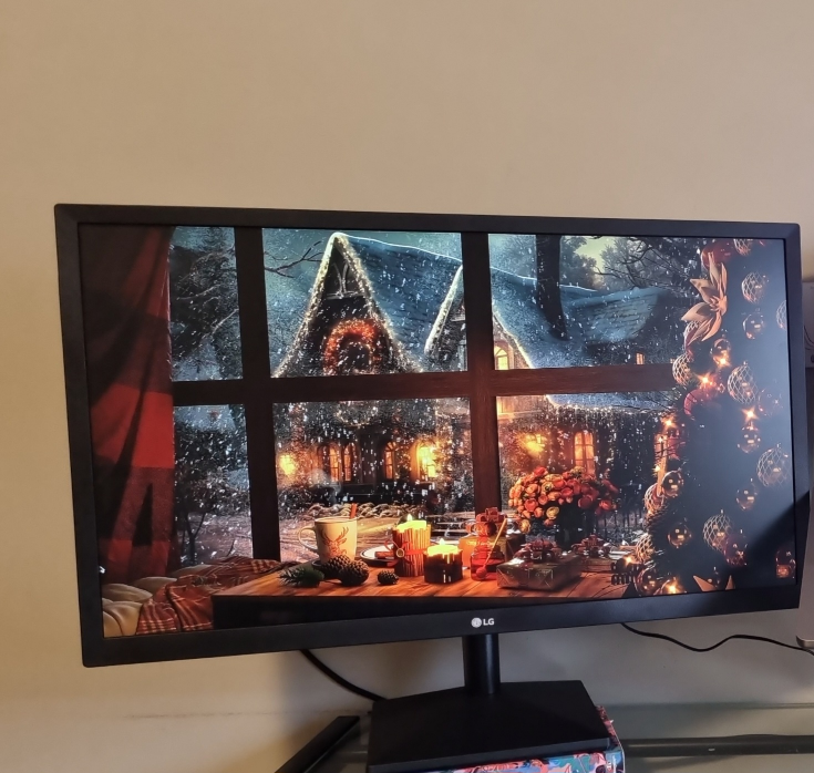 LG Monitor 24