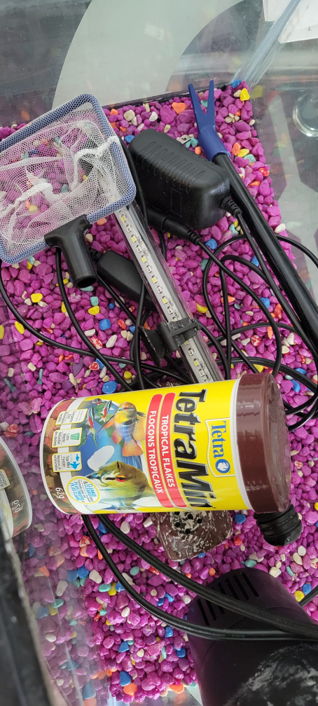 Fish Tank image indicator(4)