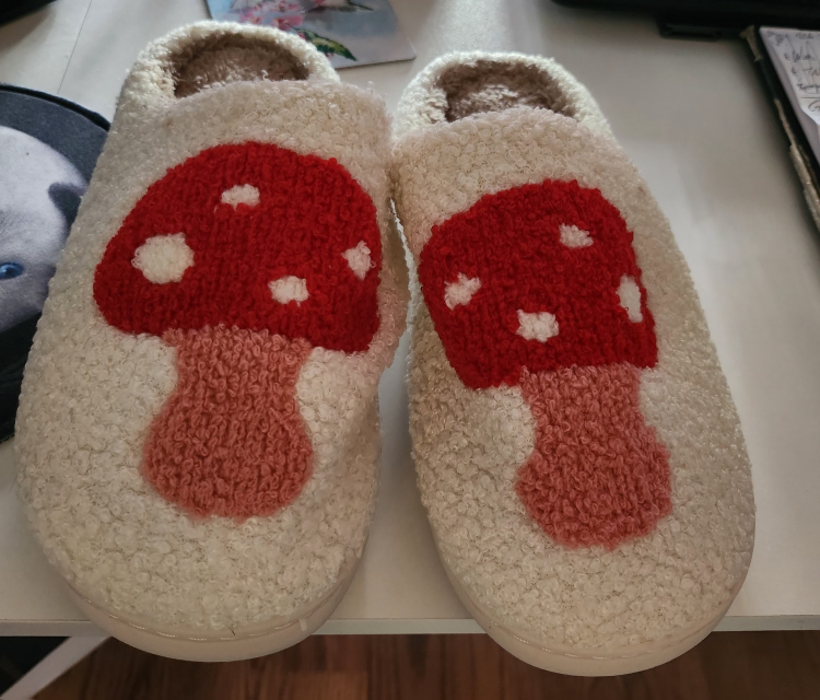 Mushroom Slippers thumbnail