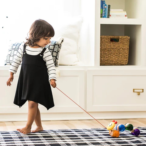 NEW BABY EINSTEIN WOODEN PULL TOY (in package) image indicator(6)