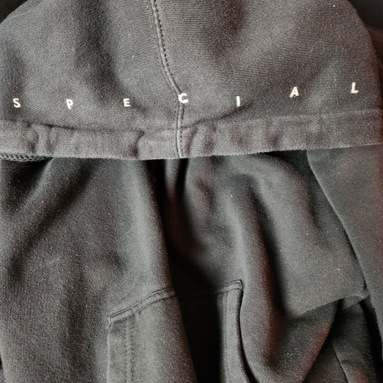 LIZZO Official Concert Tour Hoodie - photo 4