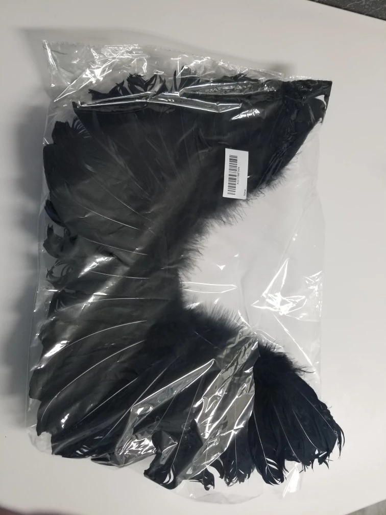 Black Angel Wings Halloween Costume, Photography / Cosplay image indicator(5)