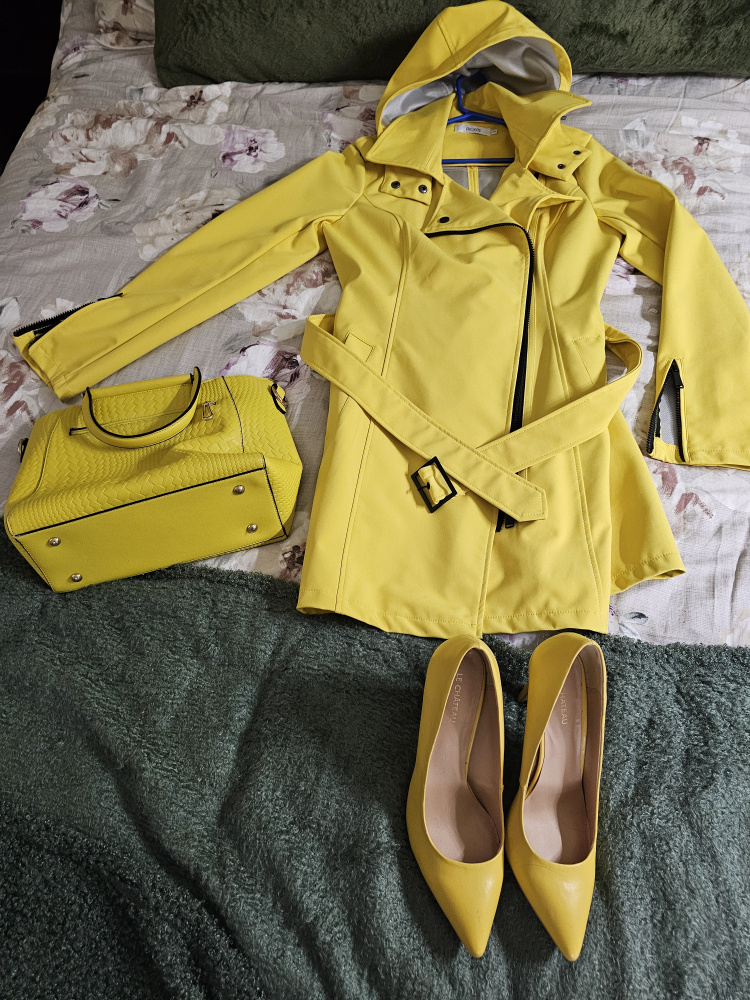 Woman's Shoes, Coat and Purse image indicator(4)