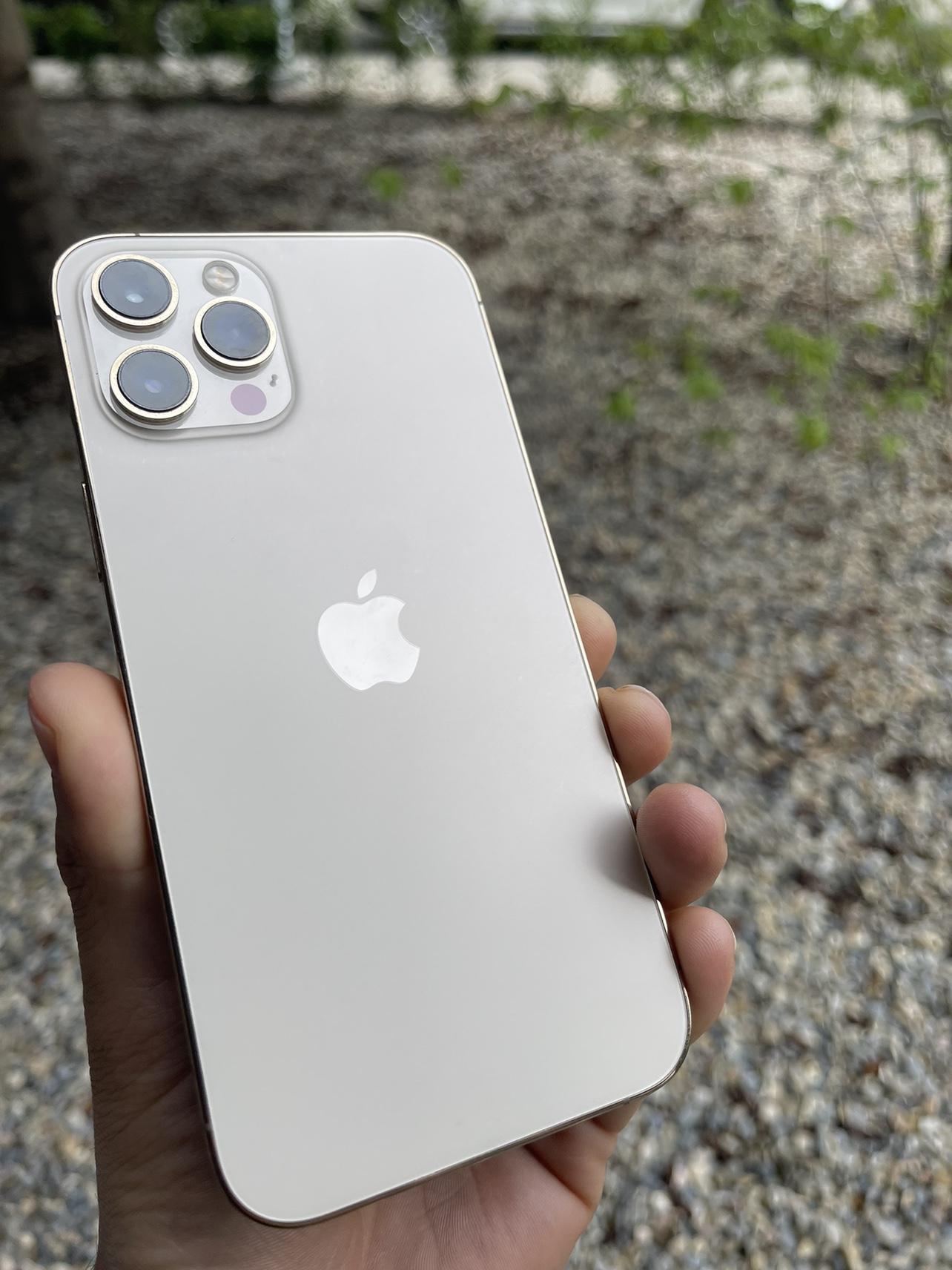 iPhone 12 Pro Max 128gb Mint condition