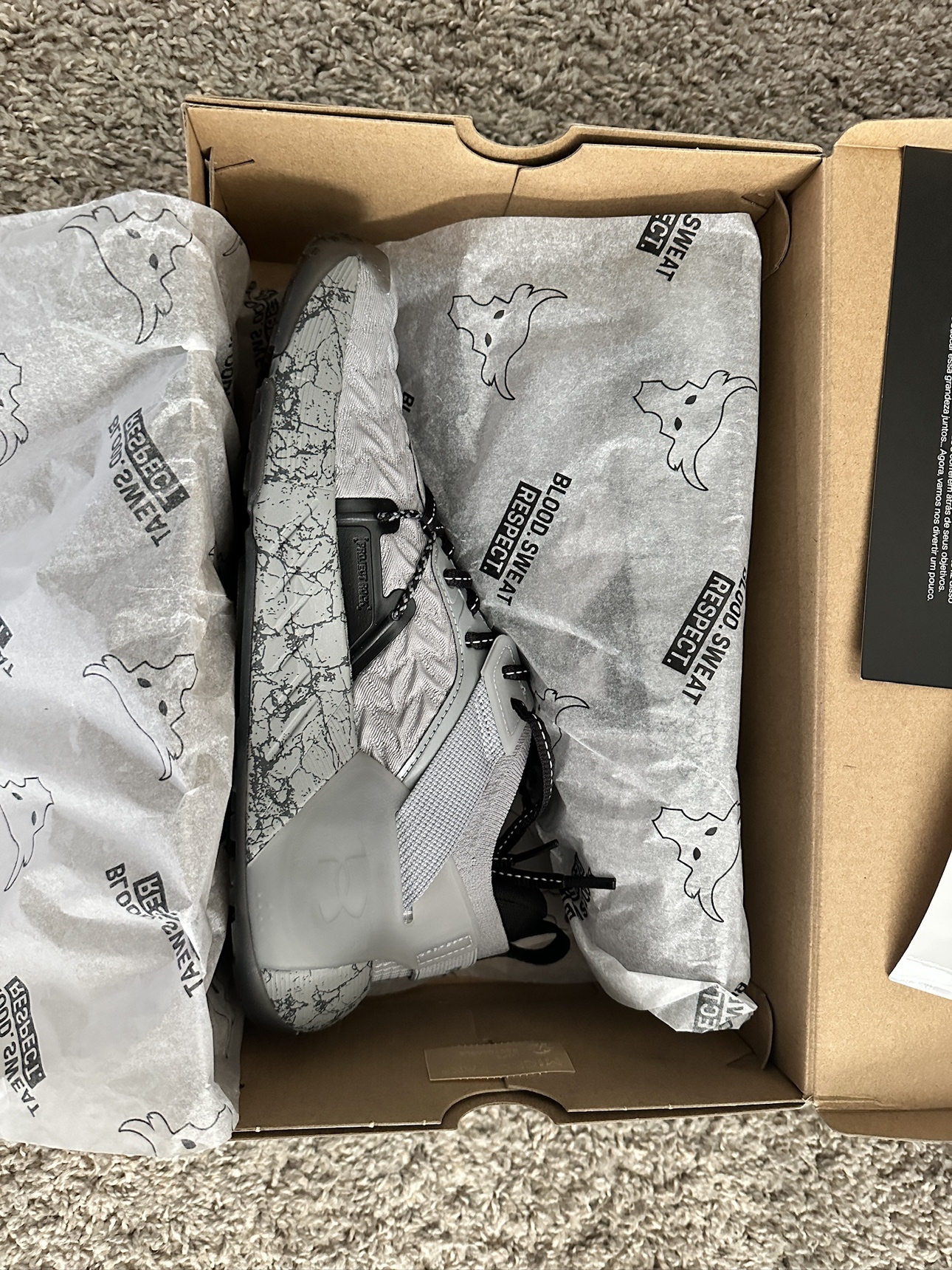 UA Project Rock 6 The Bull Gym Shoes
