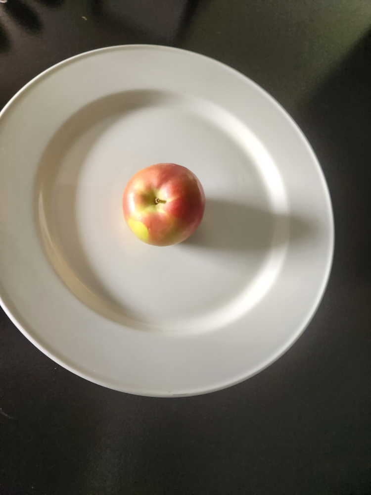 # freecycle - photo 2