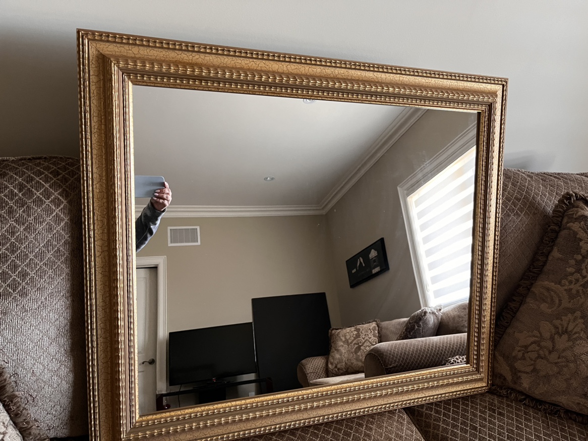 Gold frame mirror image indicator(3)