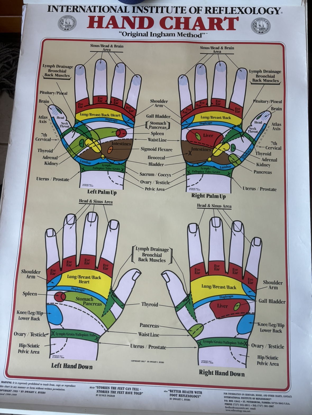 2 Reflexology Chart: Hand- Foot
