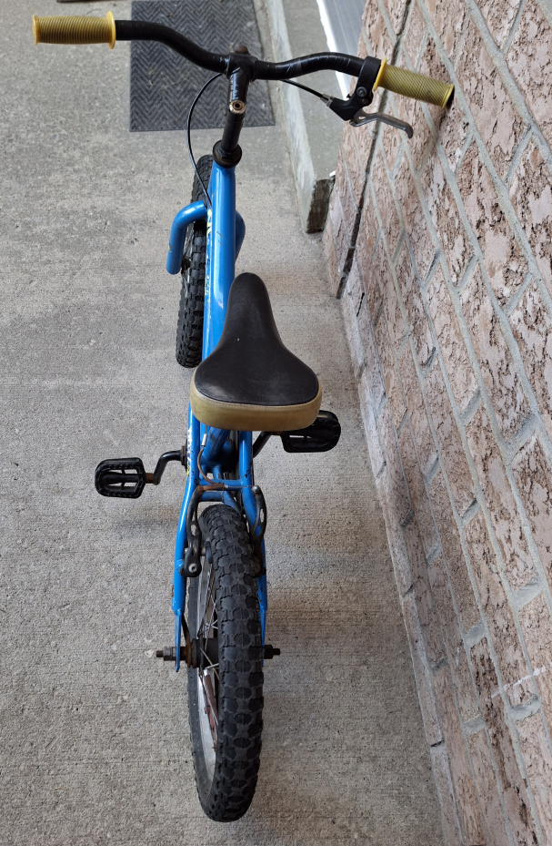 Bicycle Miele BB16 image indicator(4)