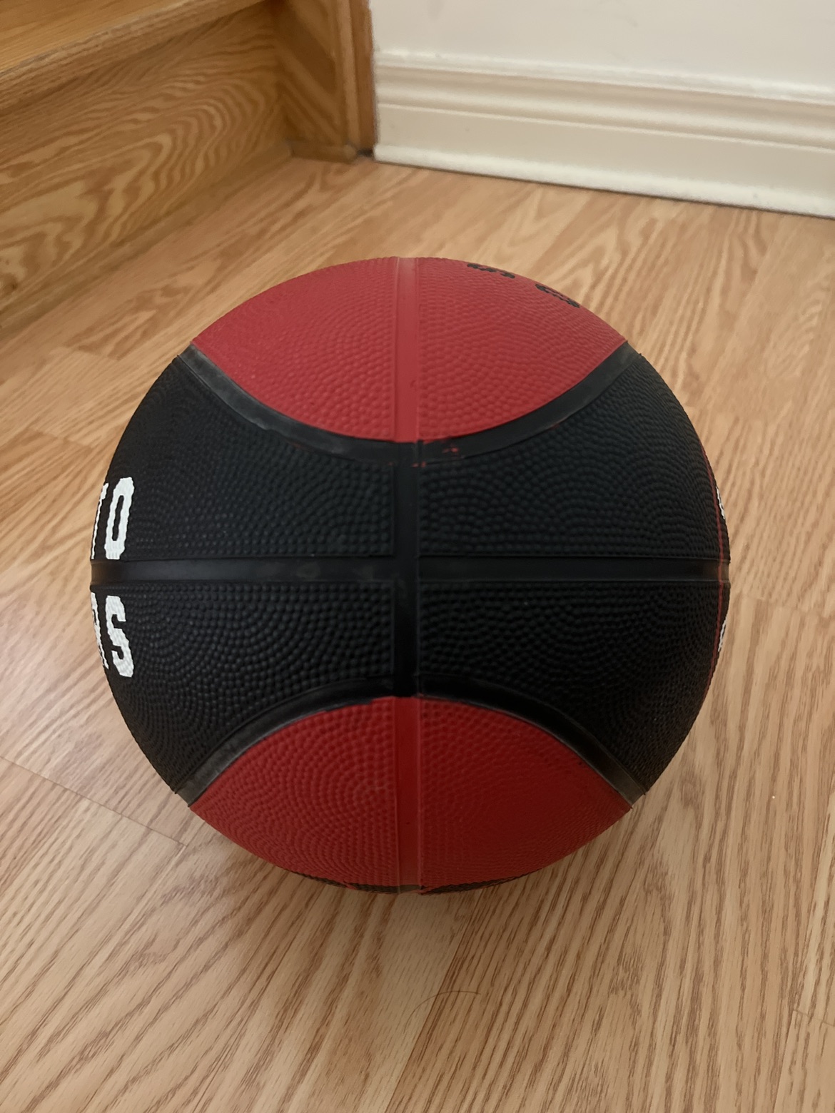 Toronto Raptors size 7 basketball image indicator(4)