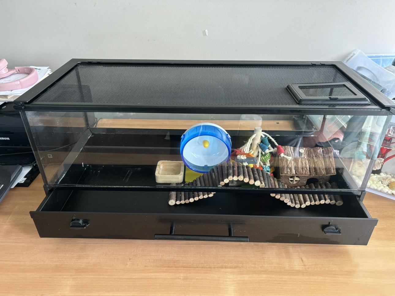 Terrarium. Used as hamster’s home - photo 4