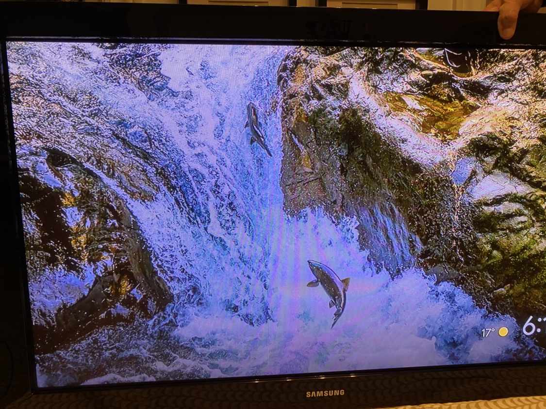 42” Samsung plasma TV (not smart TV ) + Chromecast thumbnail