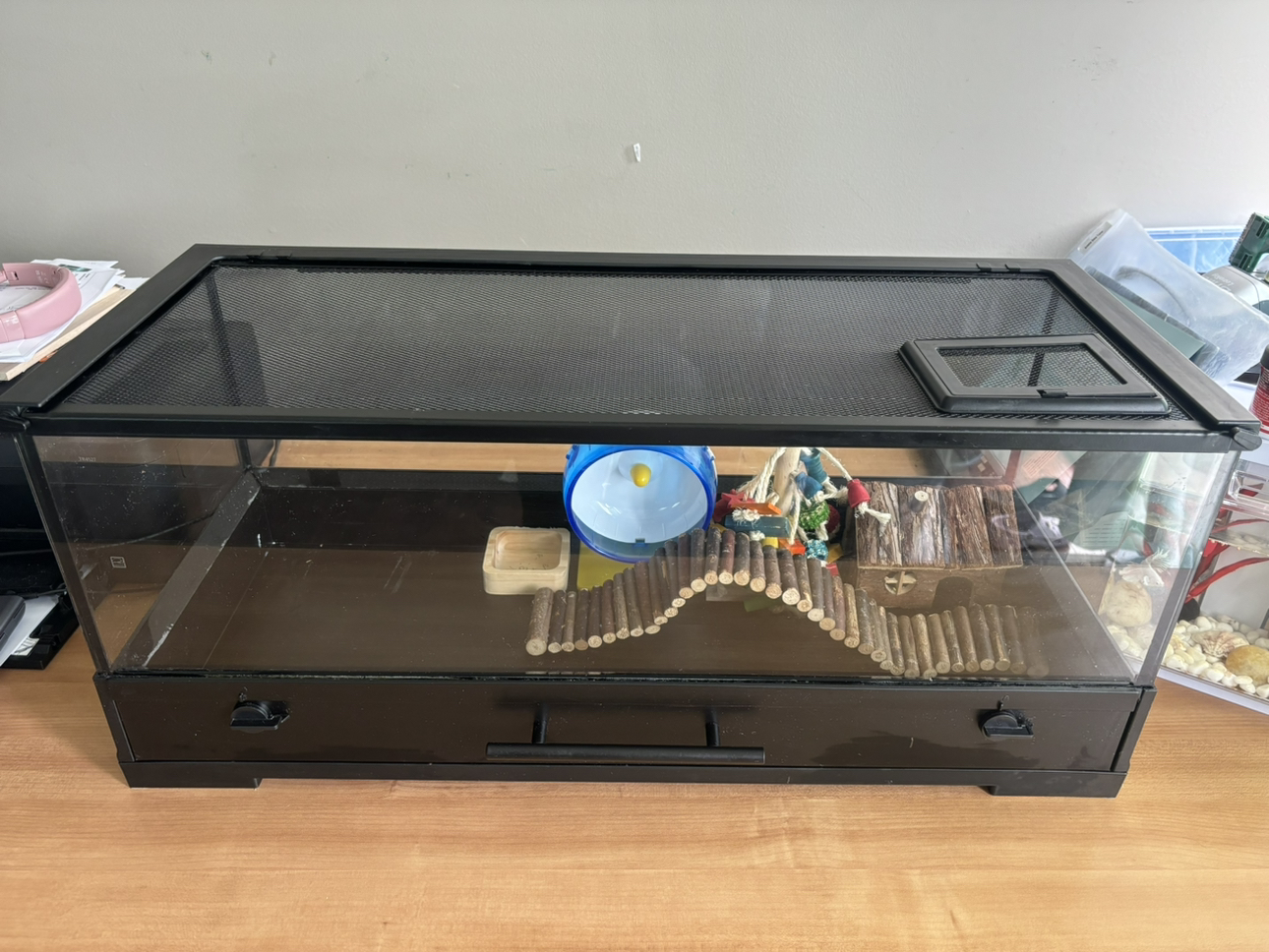 Terrarium. Used as hamster’s home - photo 5