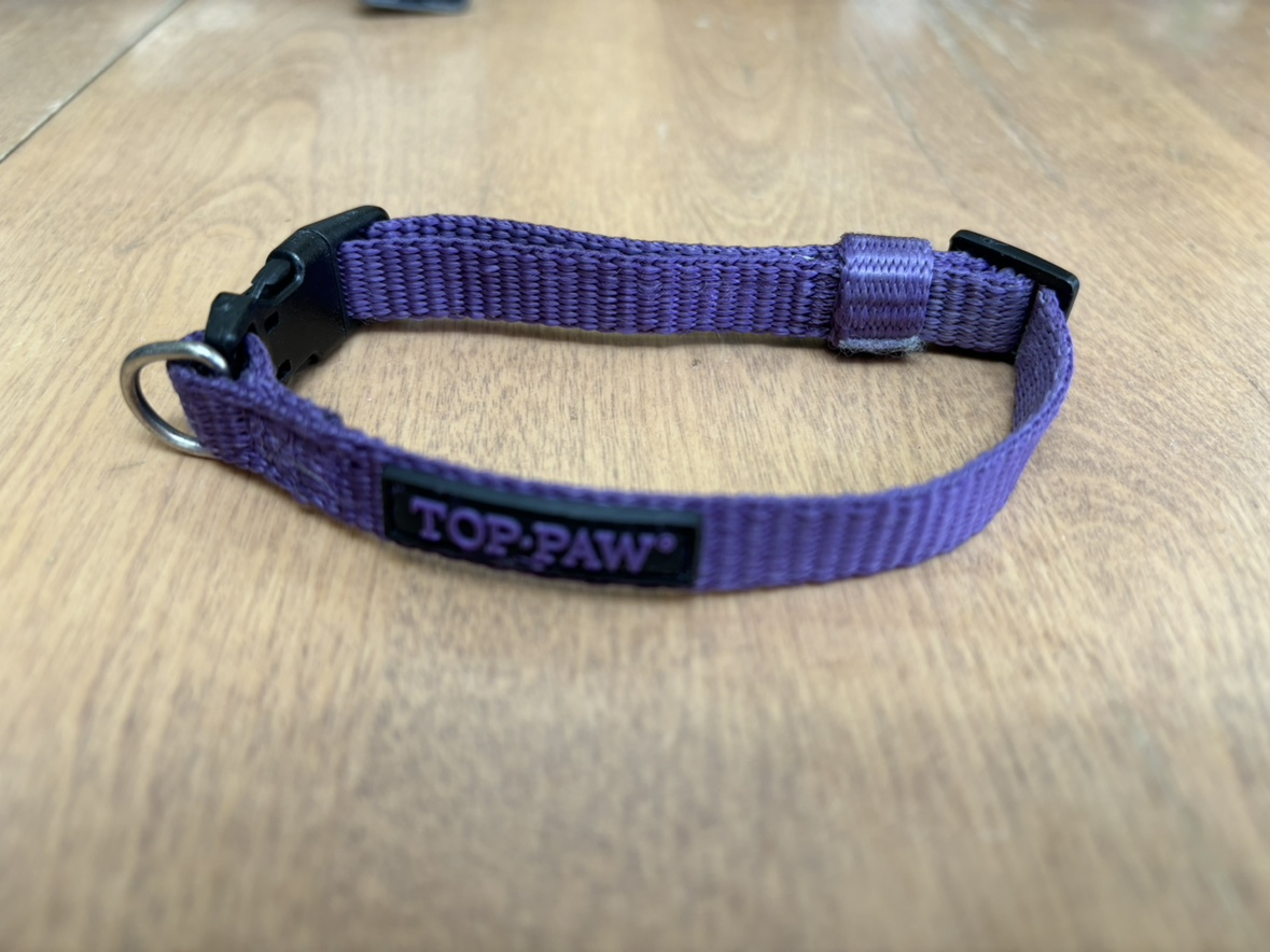 Top paw dog collar, small - photo 2