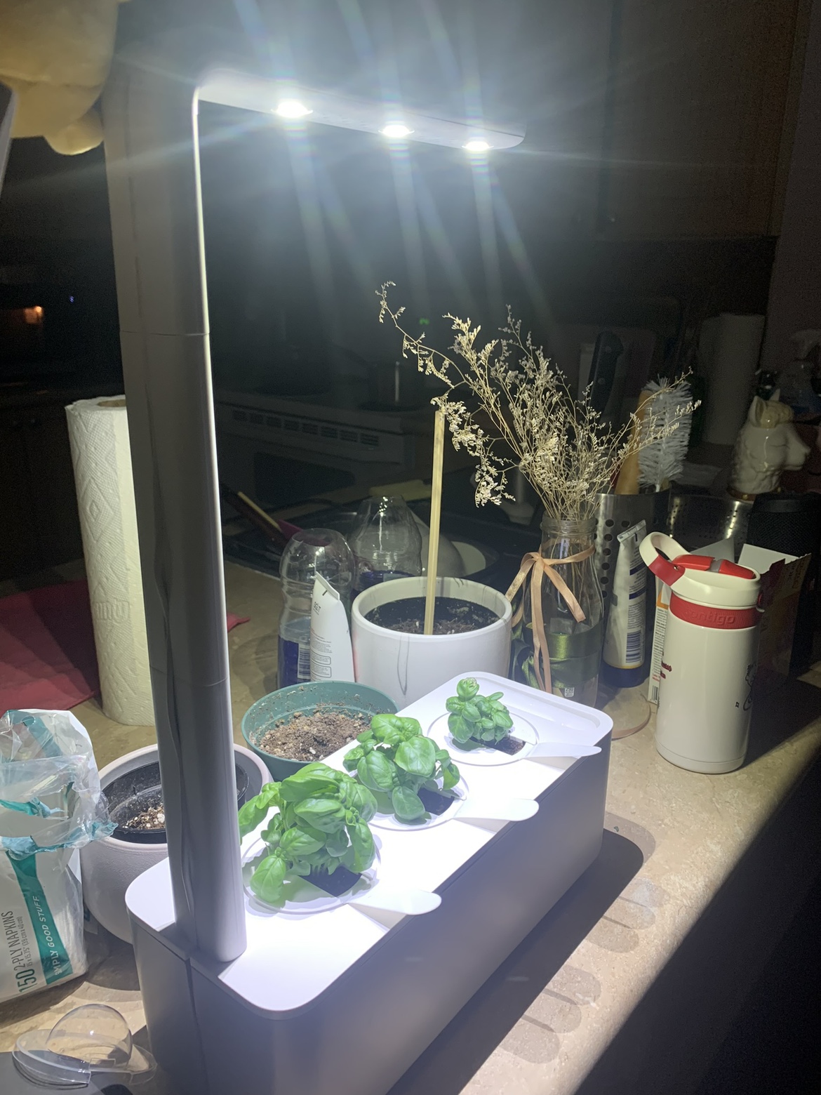 Indoor garden case - photo 3