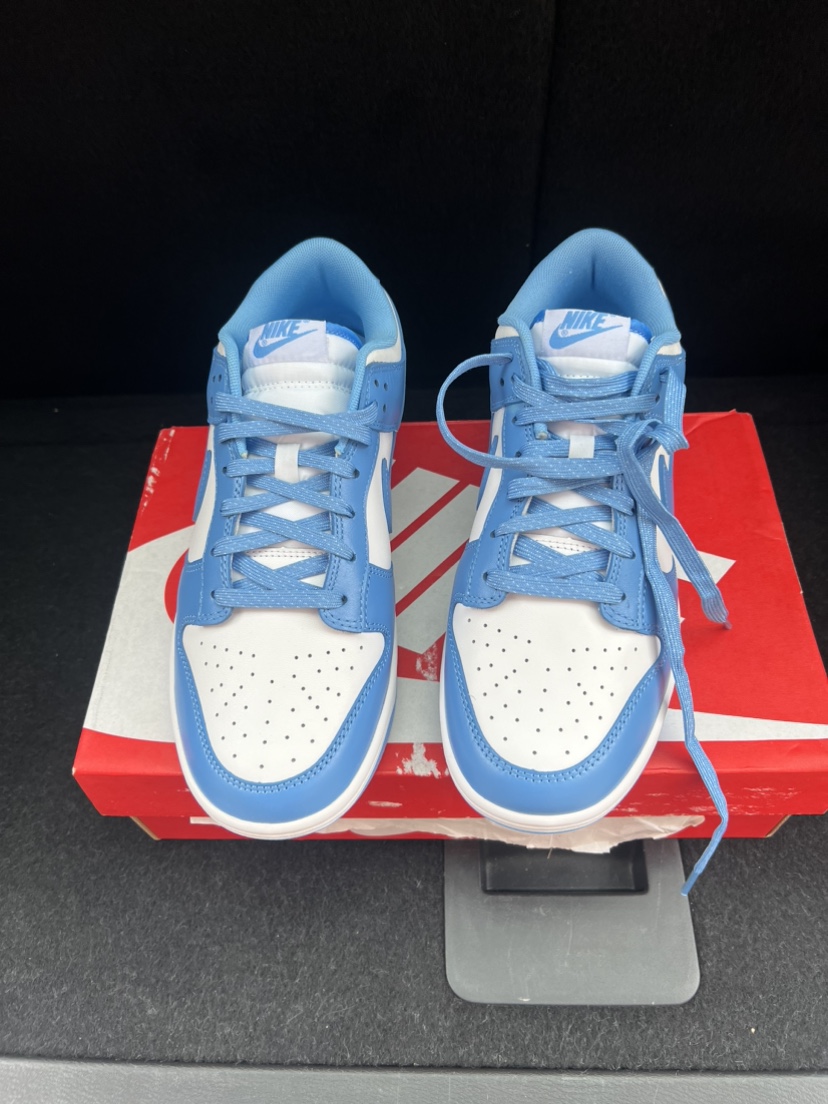 SB Blue Dunks