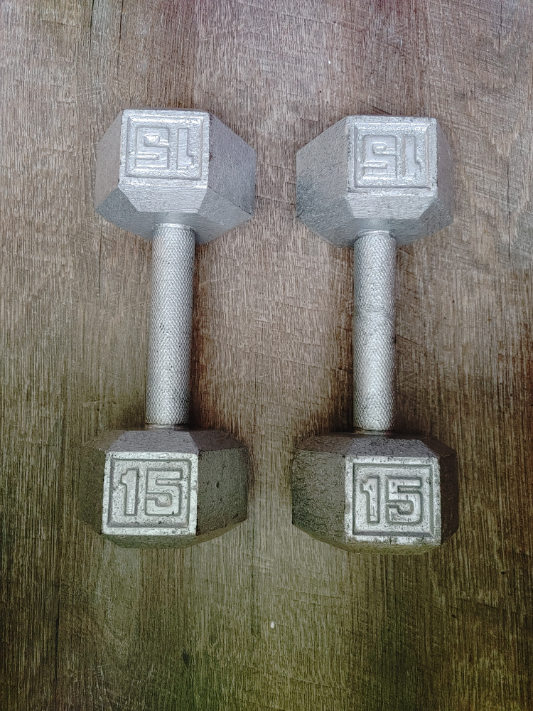 15lb dumbbell pair
