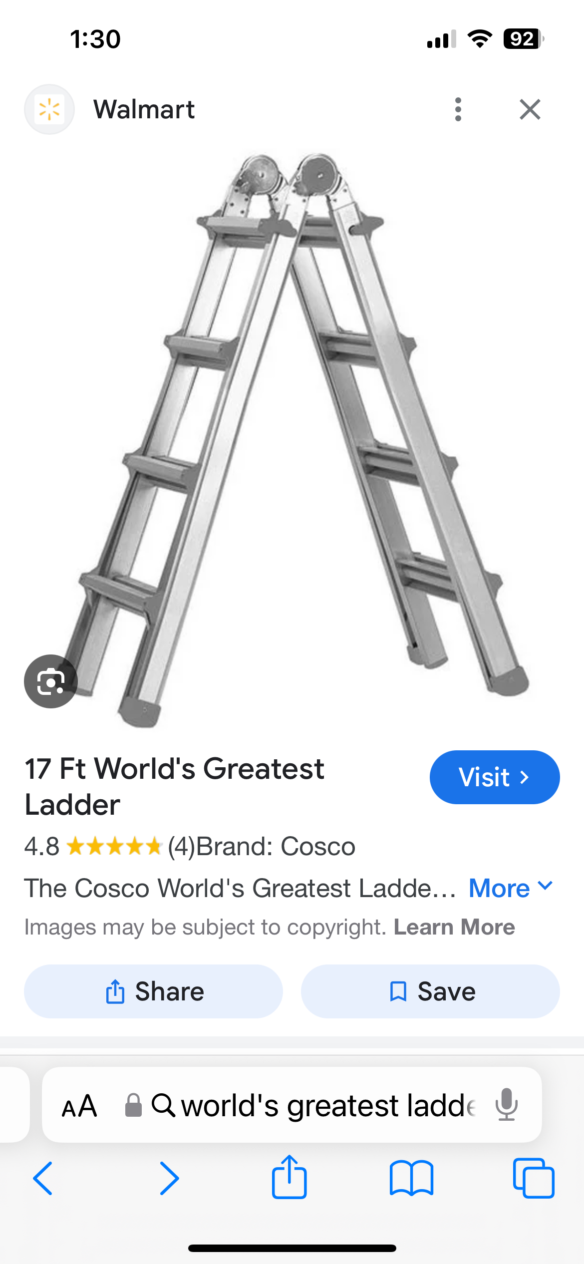 Worlds greatest Ladder -Cosco brand image indicator(3)