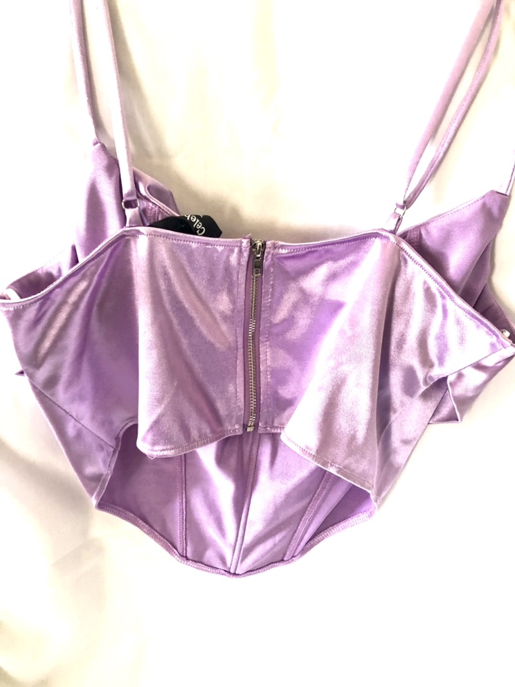 Celebrity Fashion Purple Satin Corset Top, Size L image indicator(6)