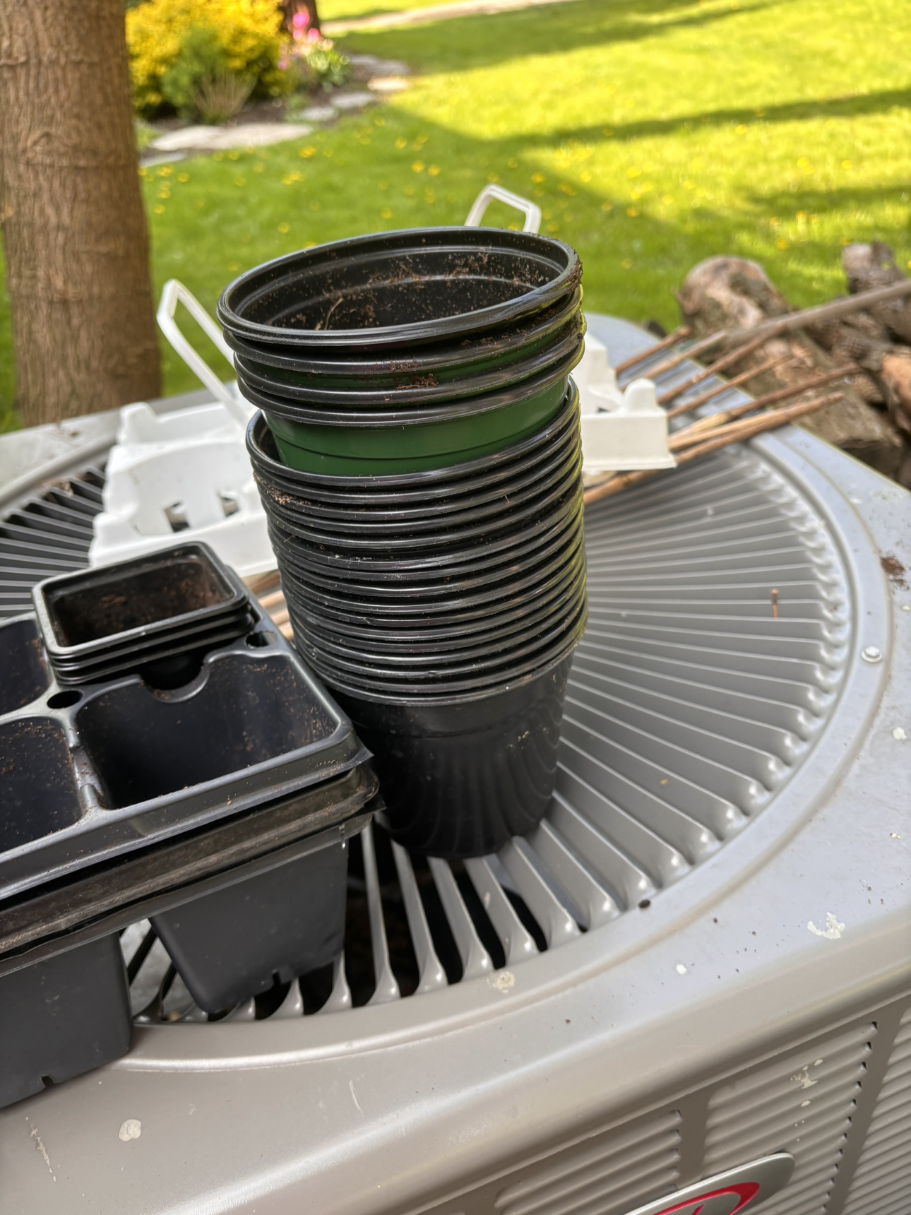 Plastic plant pots and carrying trays image indicator(2)