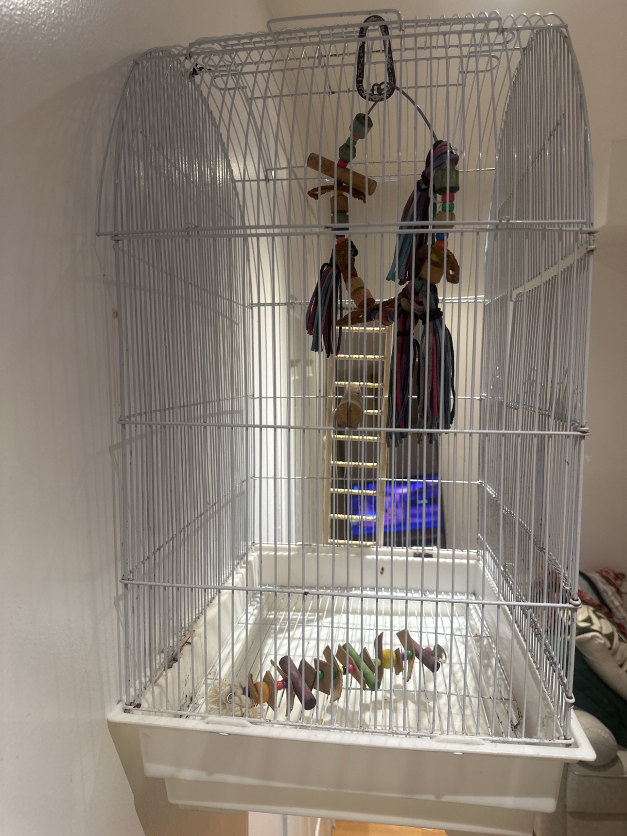 Bird Cage - photo 3