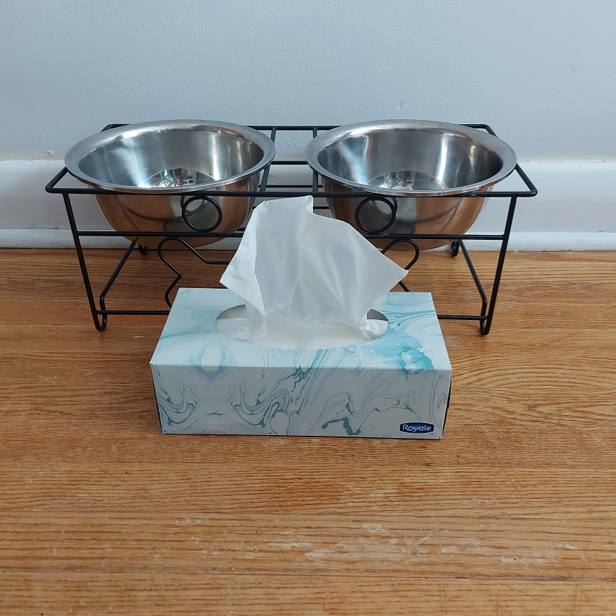 Dog Feeding Station (Small - Medium) image indicator(4)