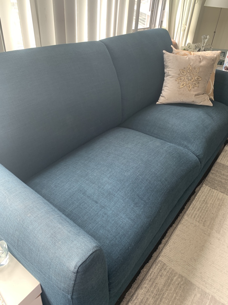 Blue Leons sofa - photo 3