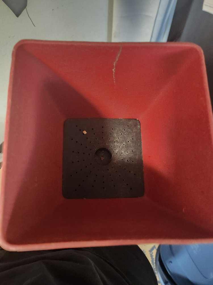 biodegradable draining planter image indicator(2)