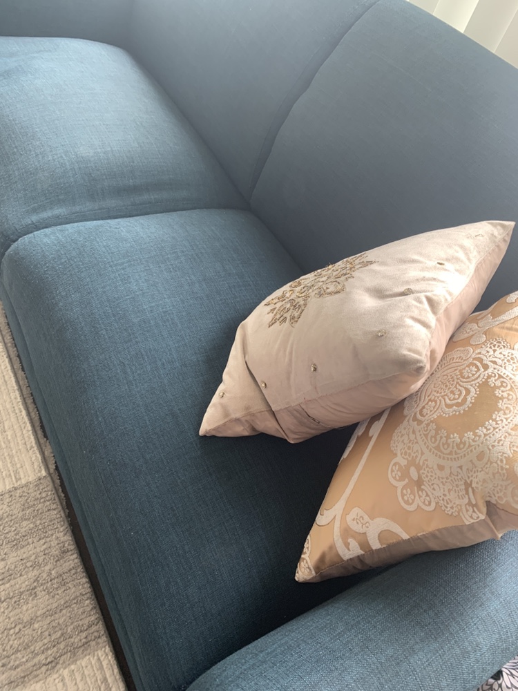 Blue Leons sofa - photo 2