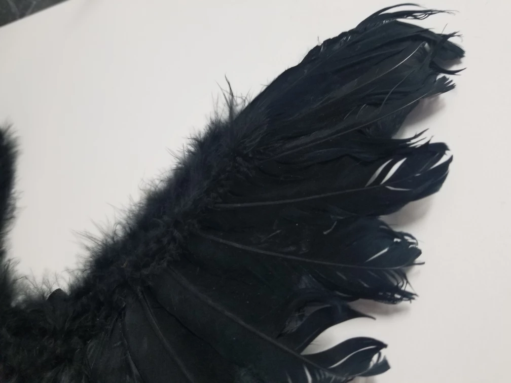Black Angel Wings Halloween Costume, Photography / Cosplay image indicator(8)