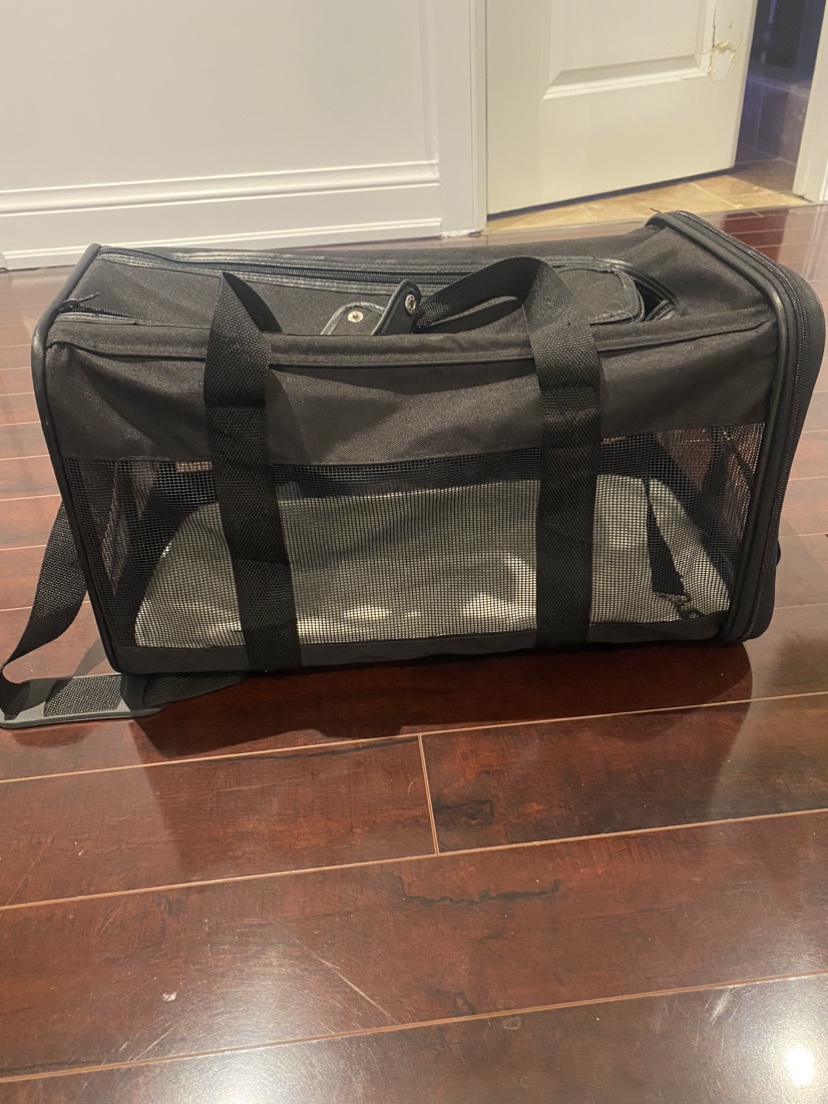 Cat transport thumbnail