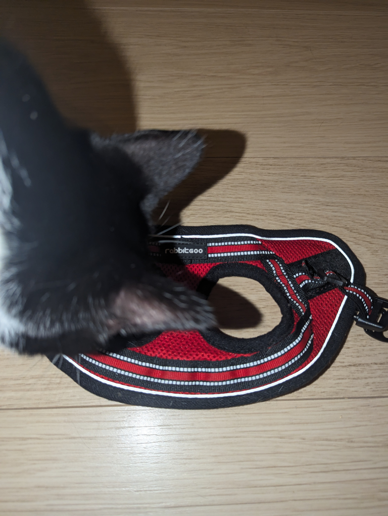 rabbitgoo Red Cat Harness Size S image indicator(3)