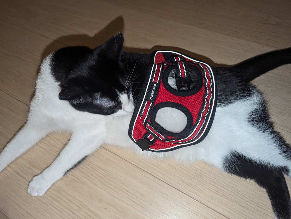 rabbitgoo Red Cat Harness Size S image indicator(4)