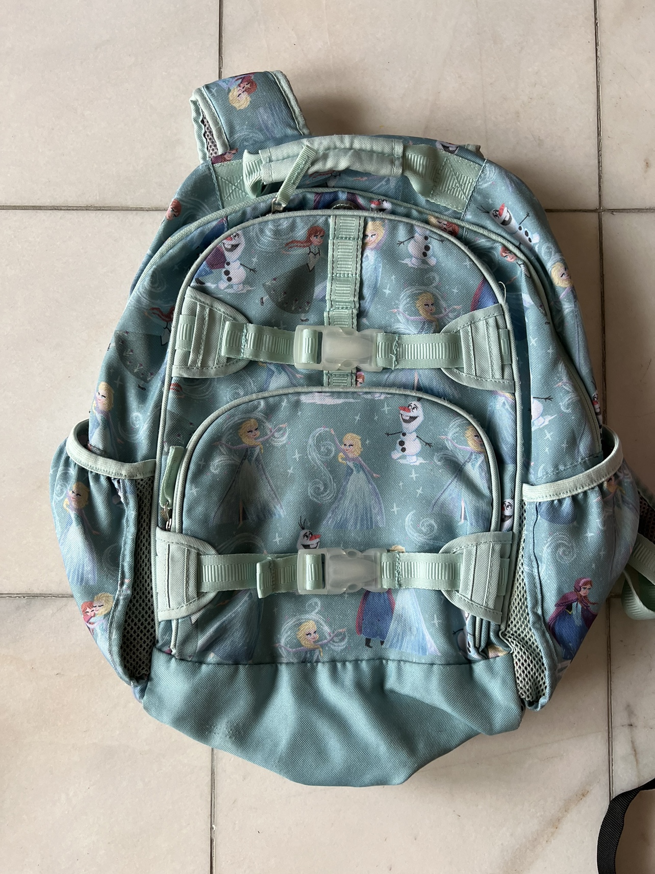 Disney frozen bag from pottery barn