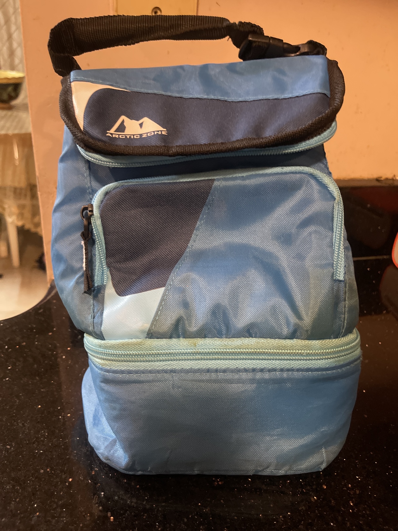 Arctic zone lunch bag