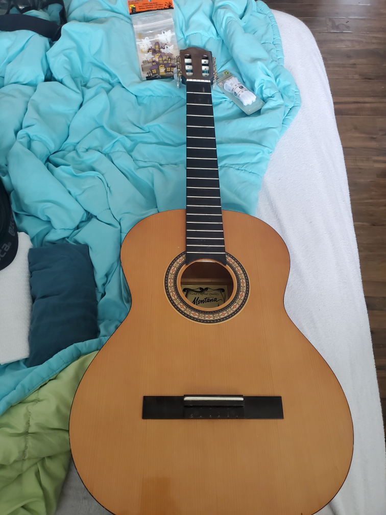 acoustic guitar