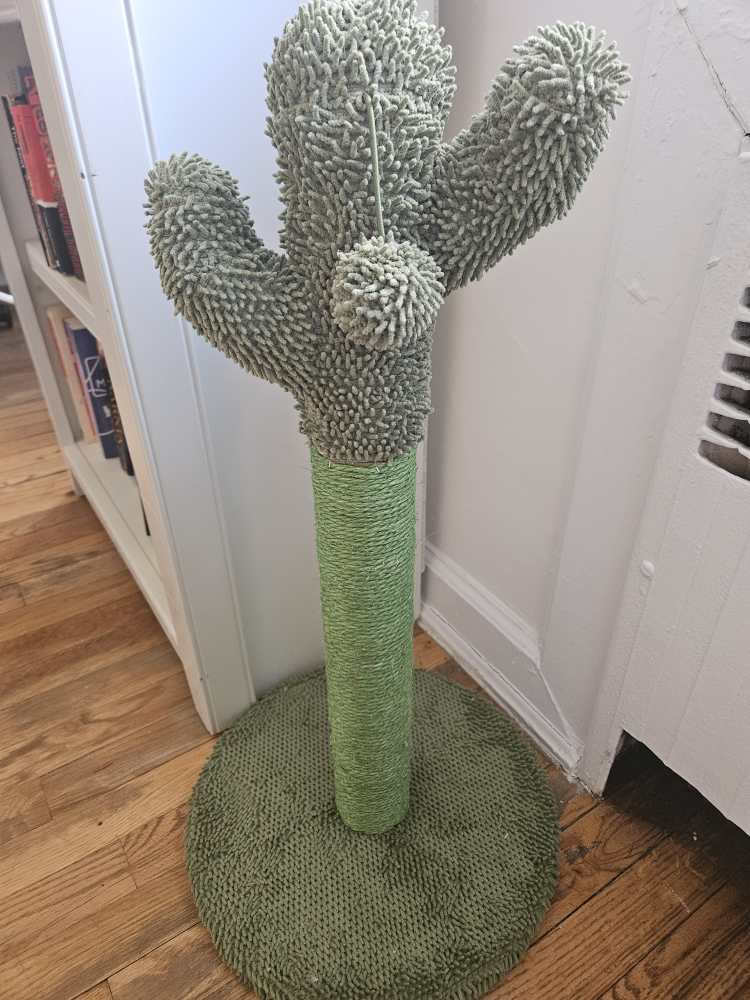 Cactus cat scratching post 🧡