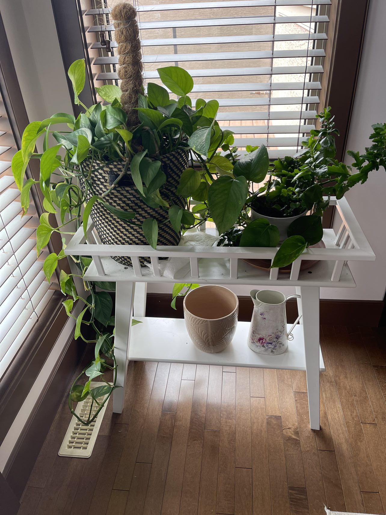 vase and plants - photo 2