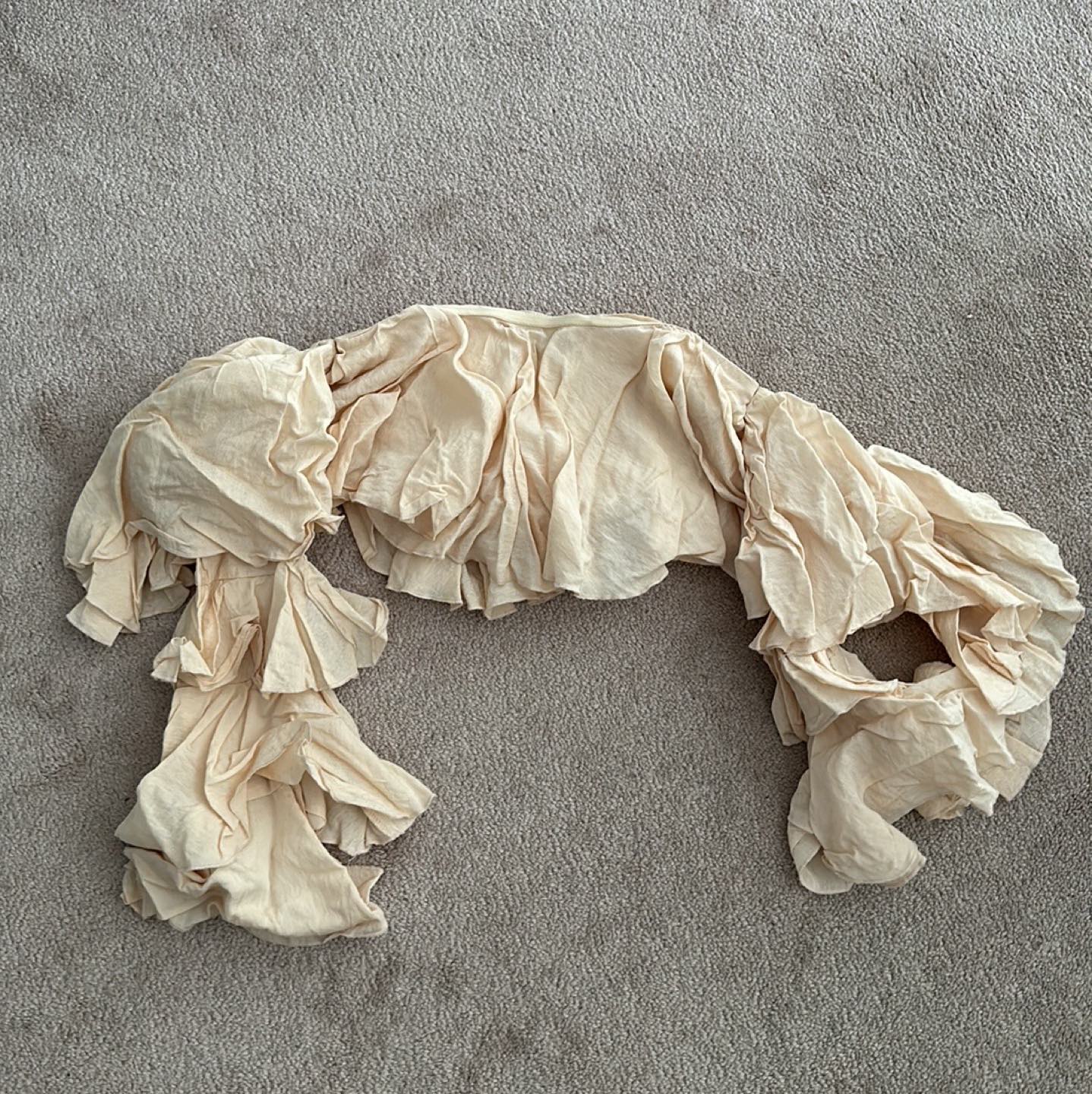 PLT | Bell Sleeve Crop Top image indicator(3)