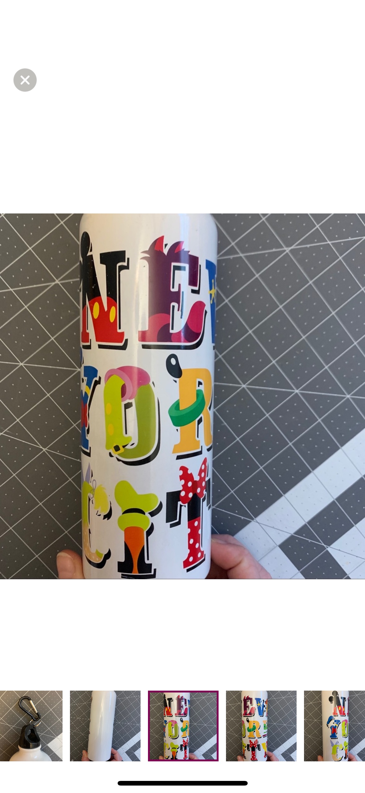 Disney New York City steel thermos image indicator(6)