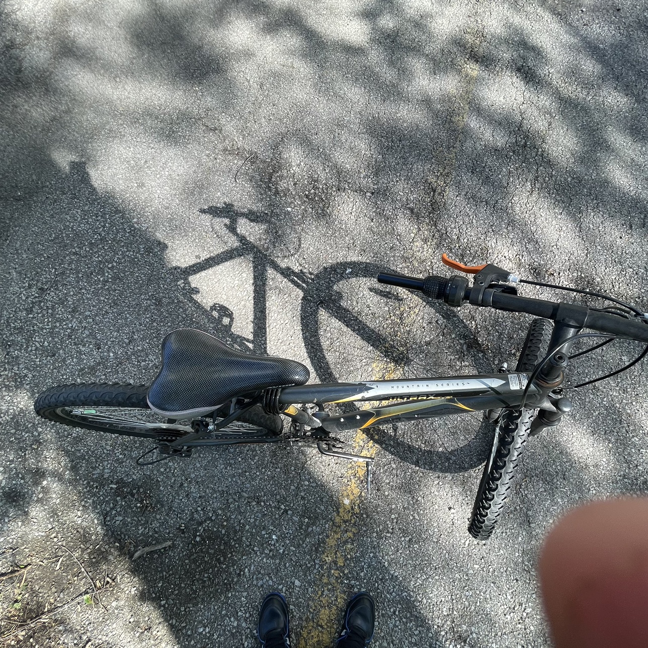 Bike 26