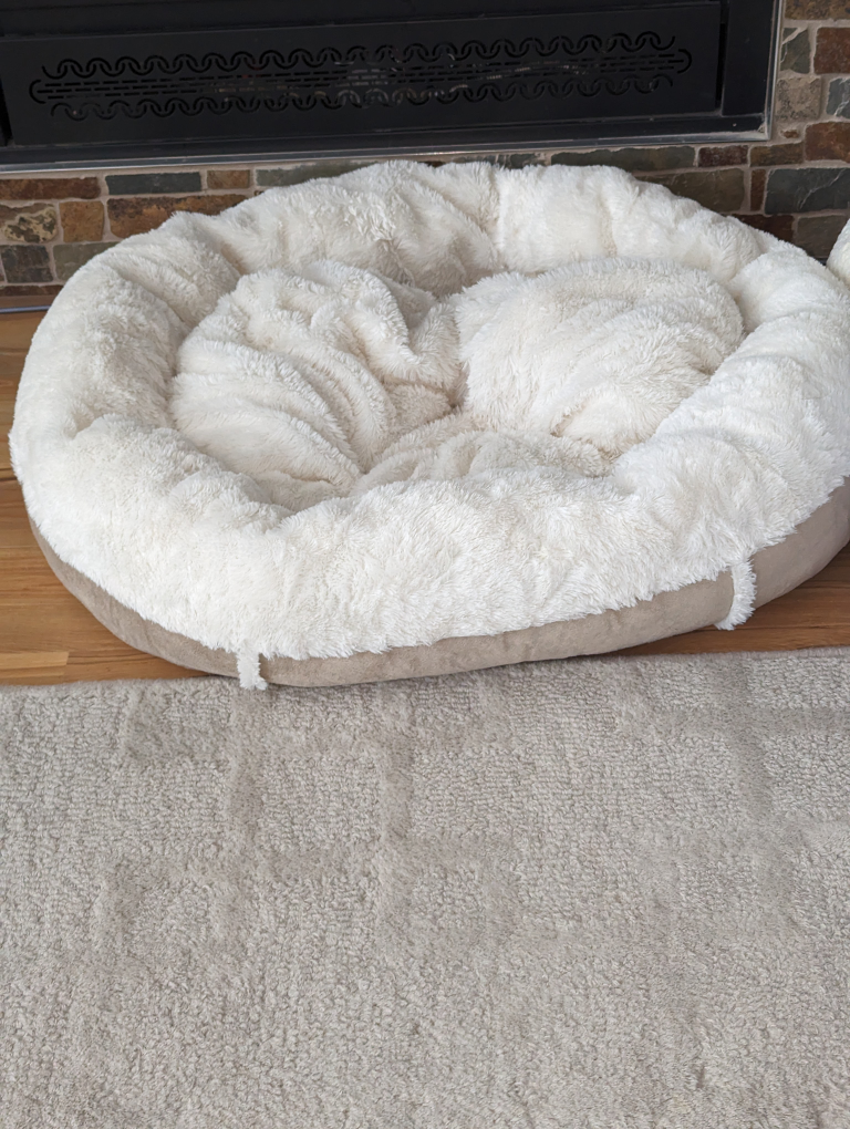 dog bed