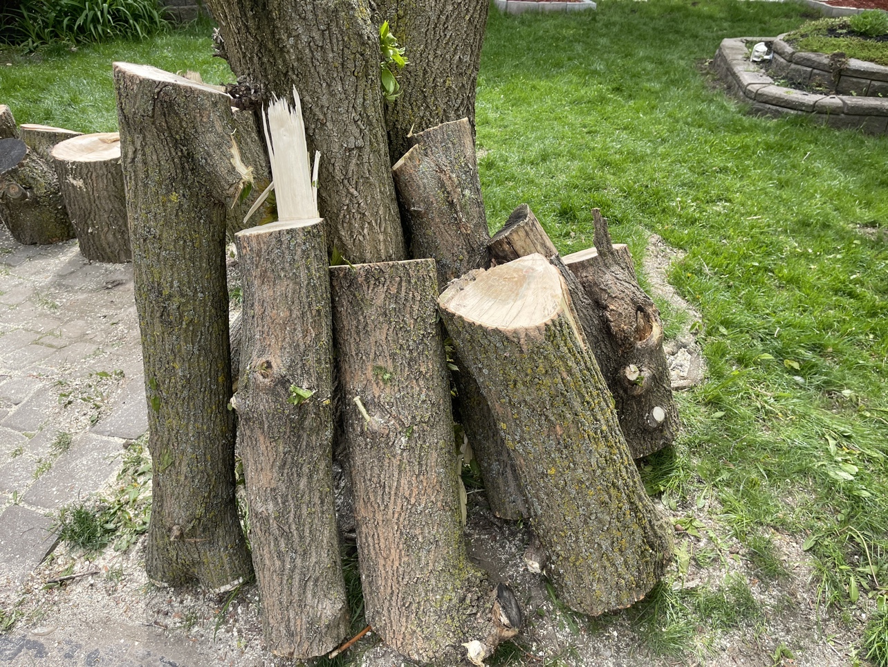 Free fire wood thumbnail