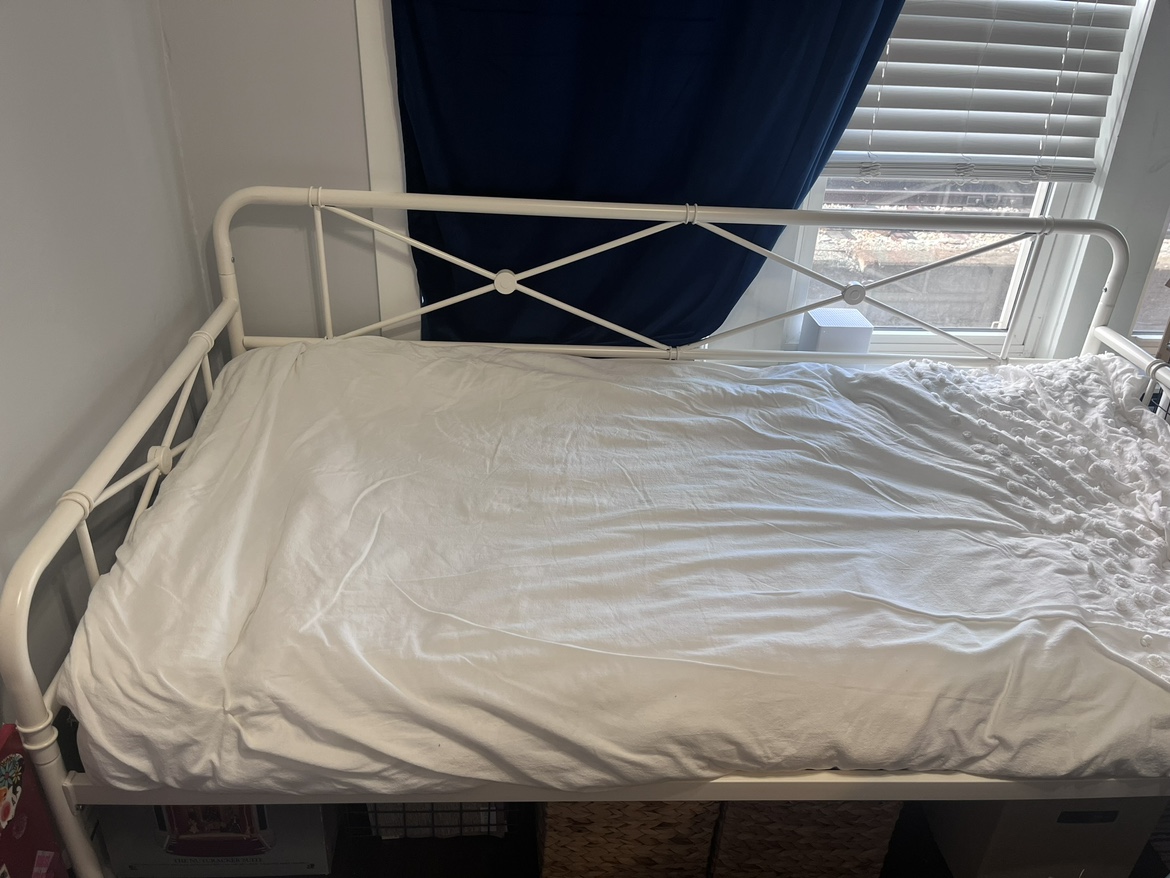 RealRooms Allysa Metal Daybed with Mattress - photo 3
