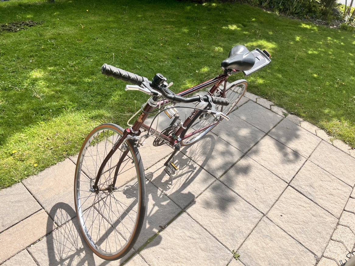 Raleigh Delta 10 Speed Bicycle image indicator(2)