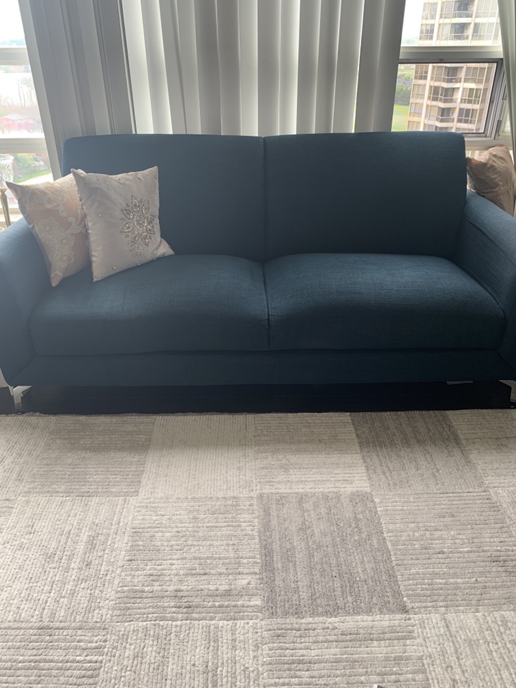 Blue Leons sofa