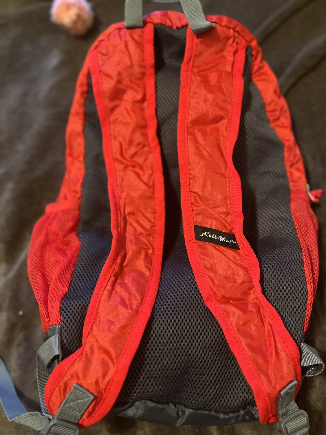 Eddie Baeur foldable backpack UNISEX image indicator(3)