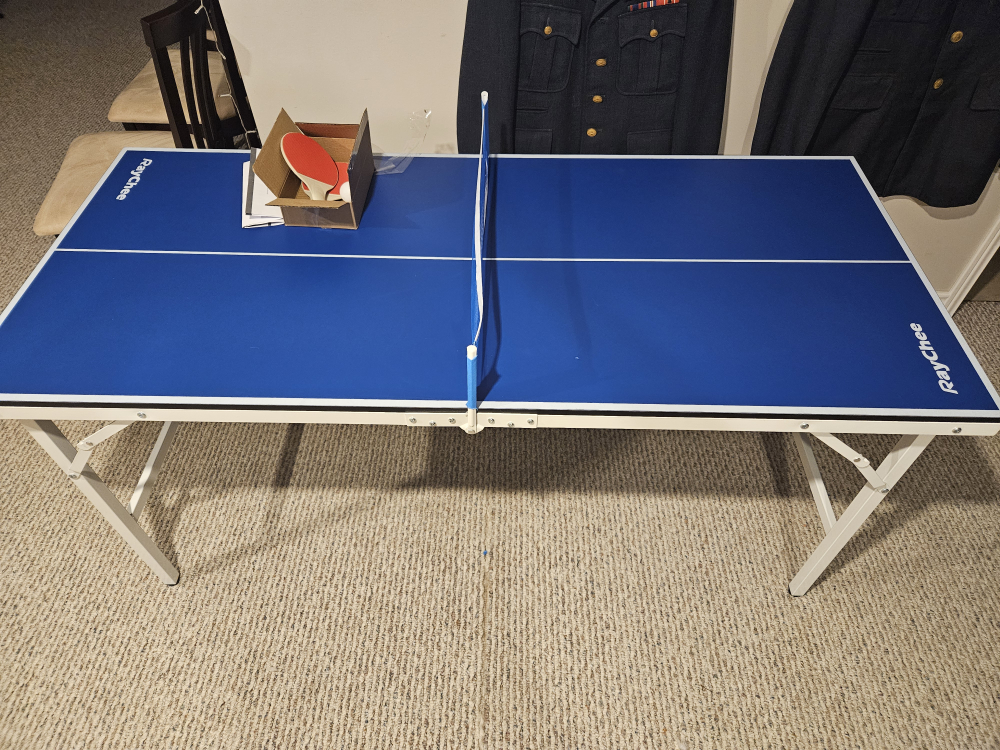 Portable ping pong table