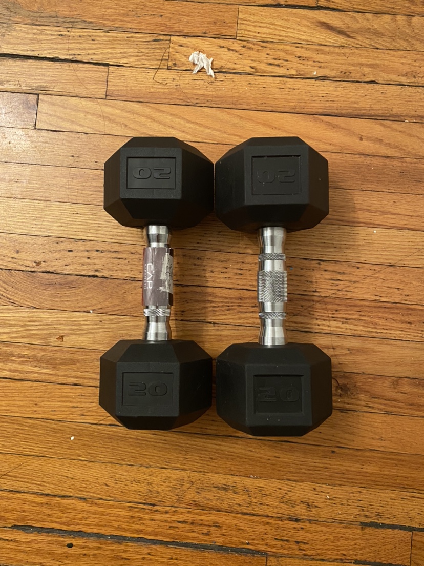 Set of 20lb dumbbell image indicator(2)